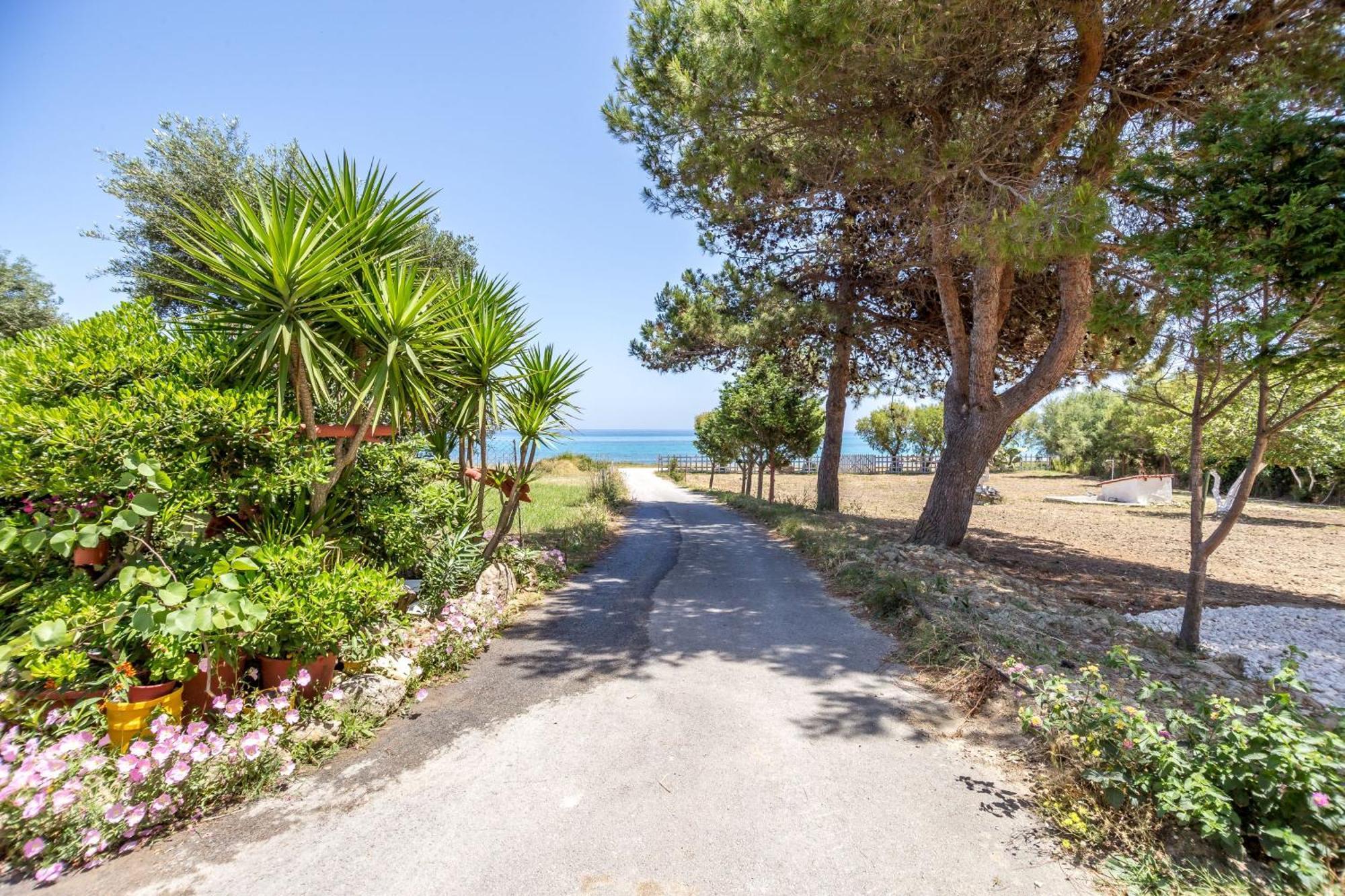 Casa Di Mare - And On The Vasilikos (Zakynthos)